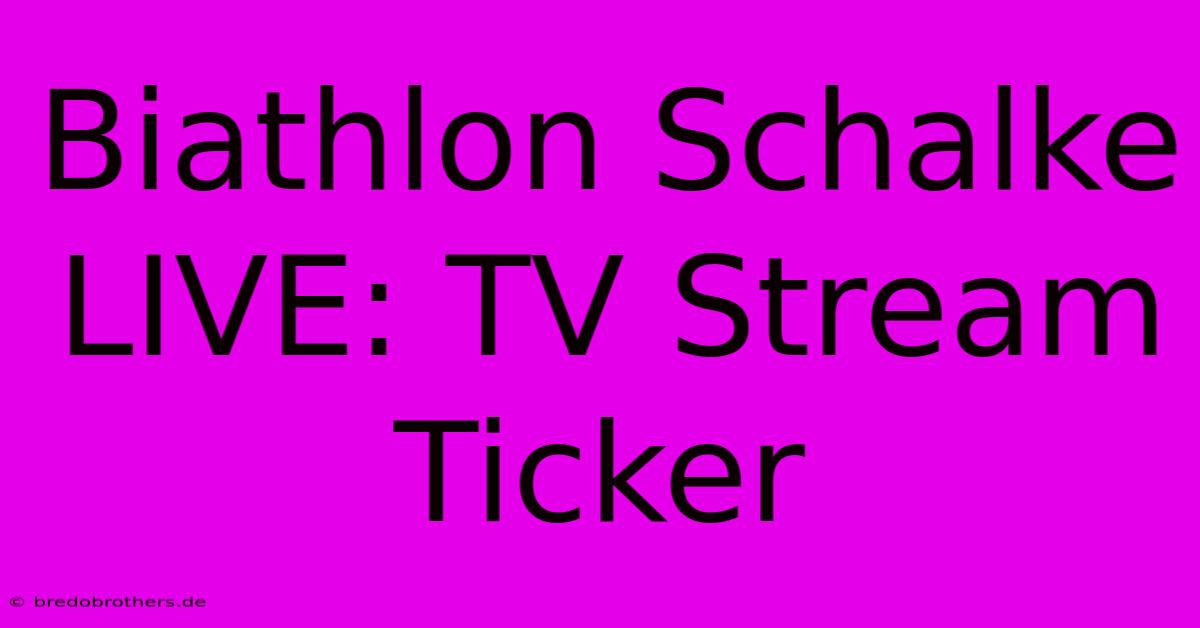 Biathlon Schalke LIVE: TV Stream Ticker