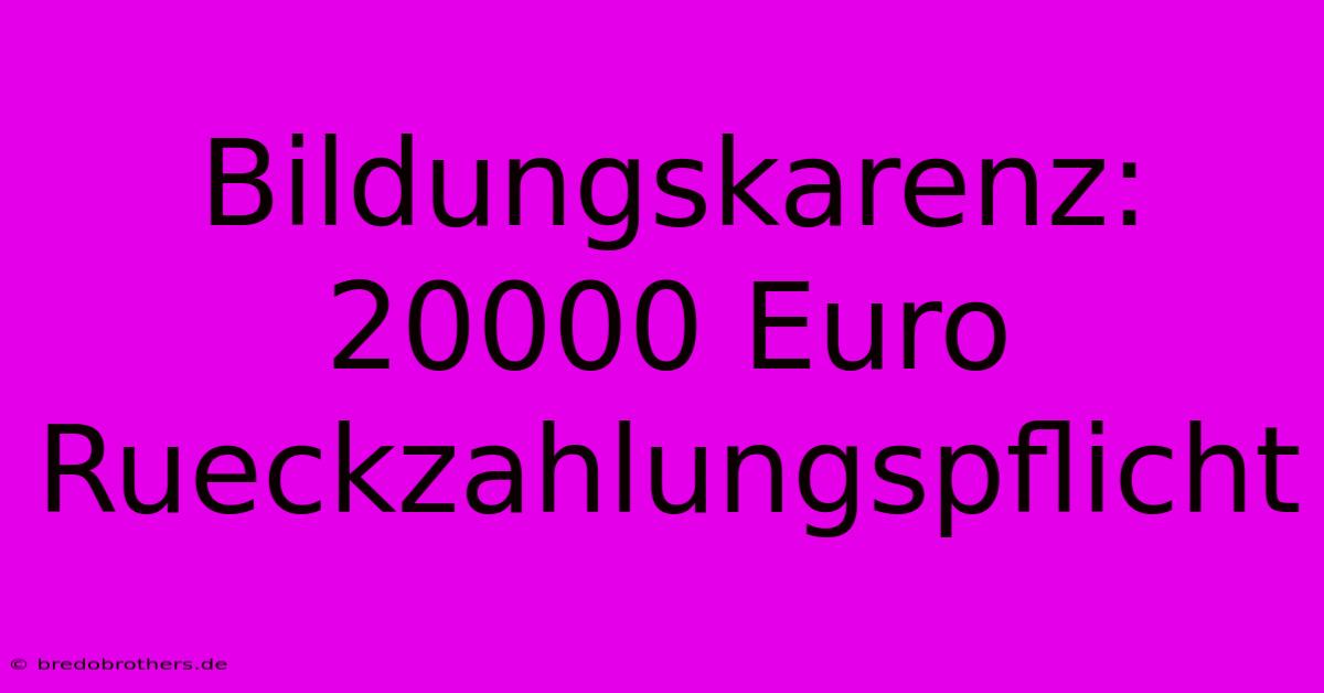 Bildungskarenz: 20000 Euro Rueckzahlungspflicht