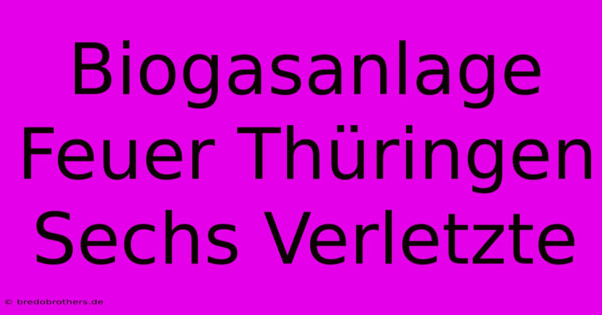 Biogasanlage Feuer Thüringen Sechs Verletzte