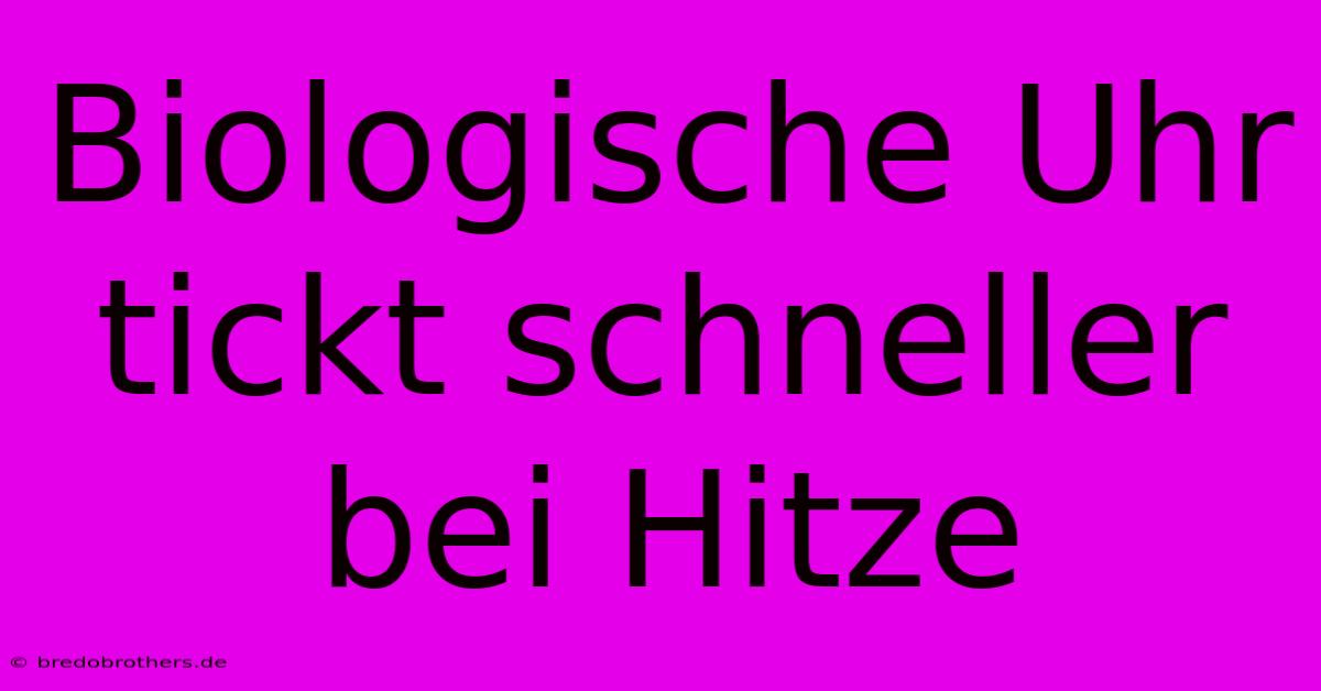 Biologische Uhr Tickt Schneller Bei Hitze