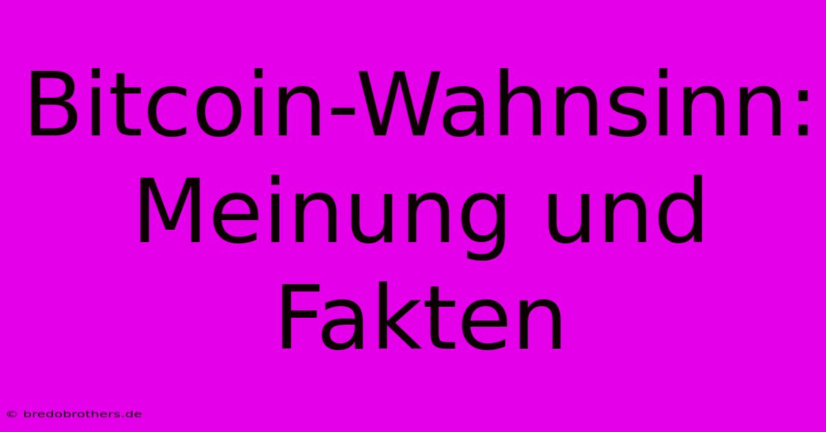 Bitcoin-Wahnsinn: Meinung Und Fakten