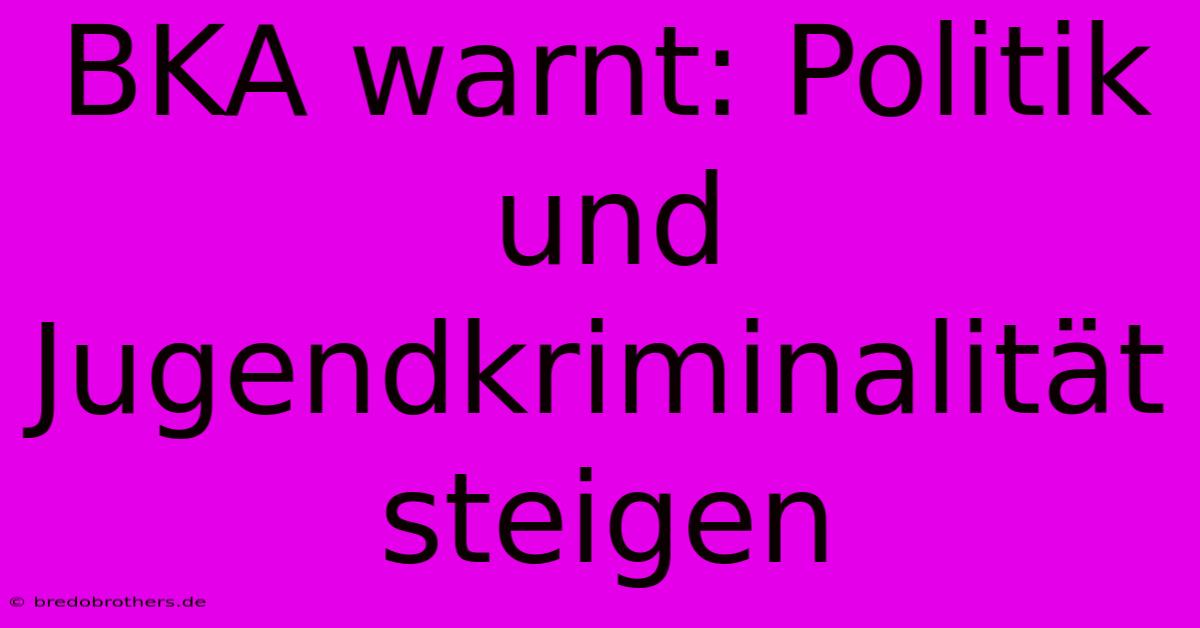 BKA Warnt: Politik Und Jugendkriminalität Steigen