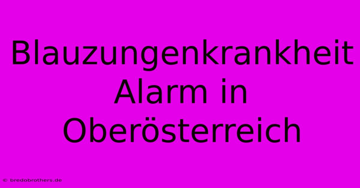 Blauzungenkrankheit Alarm In Oberösterreich