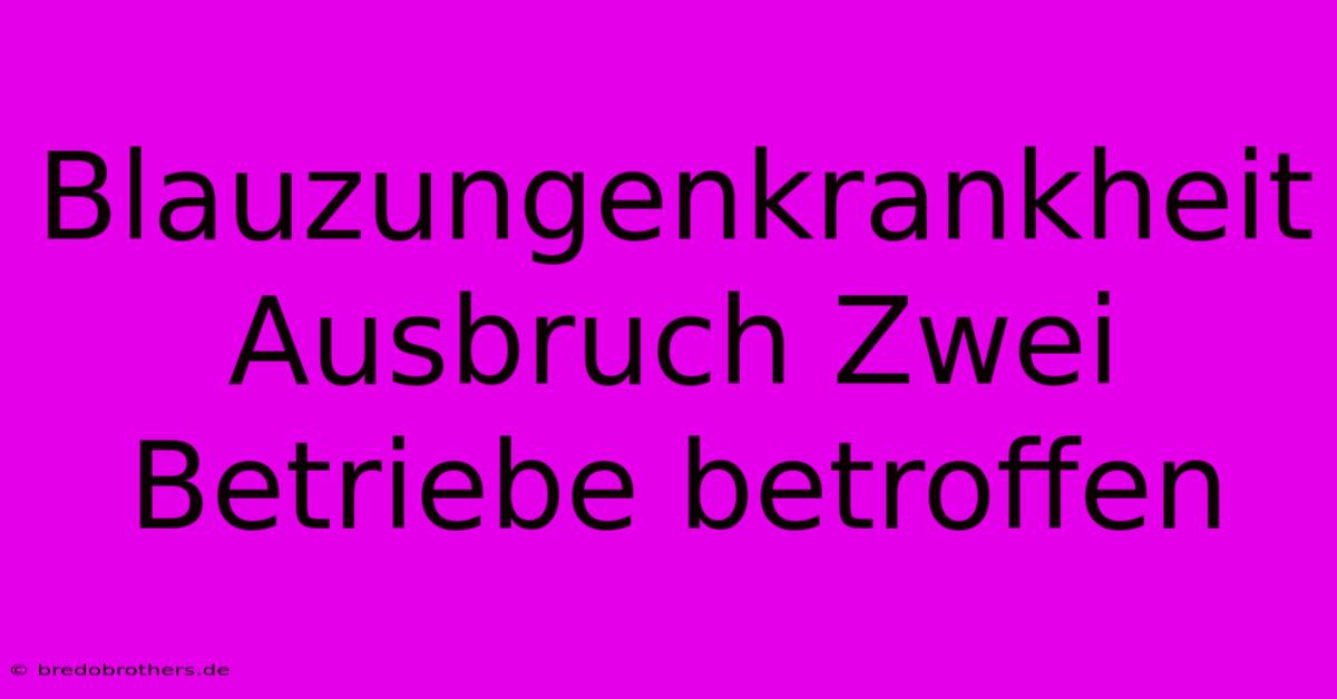 Blauzungenkrankheit Ausbruch Zwei Betriebe Betroffen