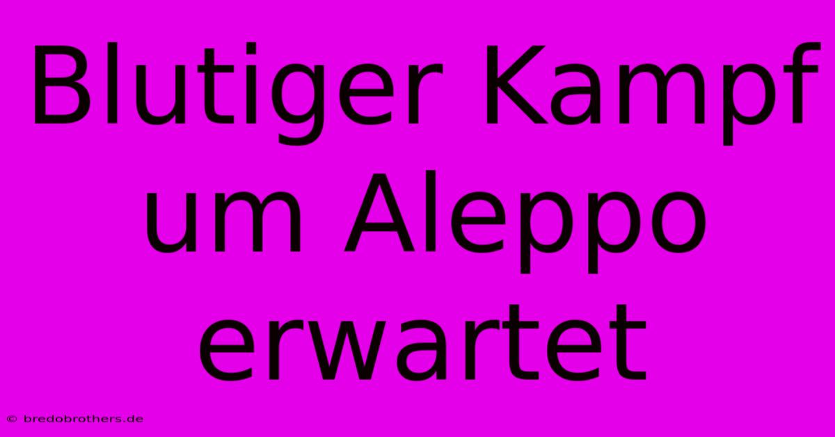 Blutiger Kampf Um Aleppo Erwartet