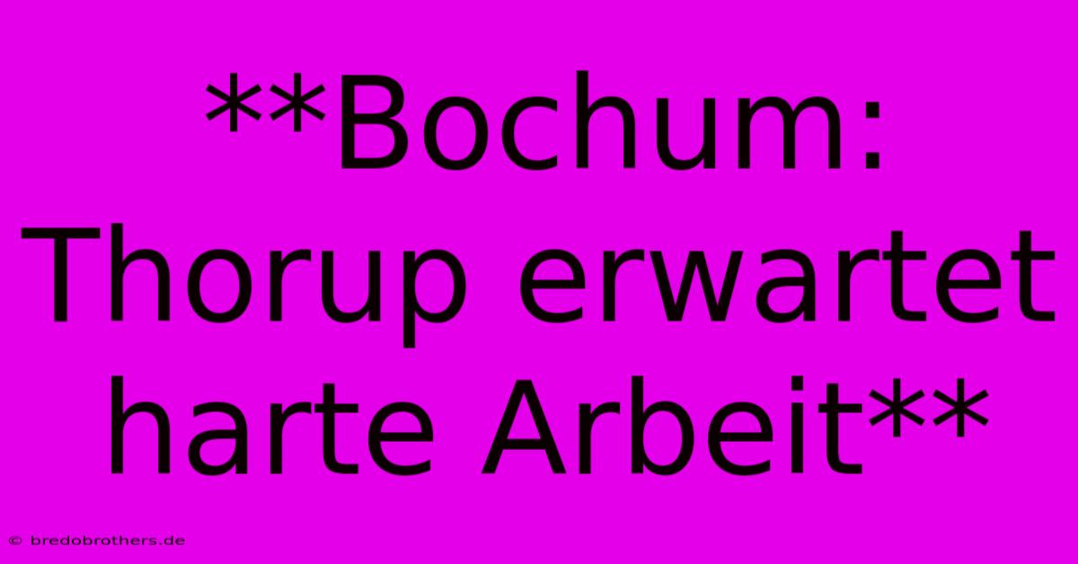 **Bochum: Thorup Erwartet Harte Arbeit**