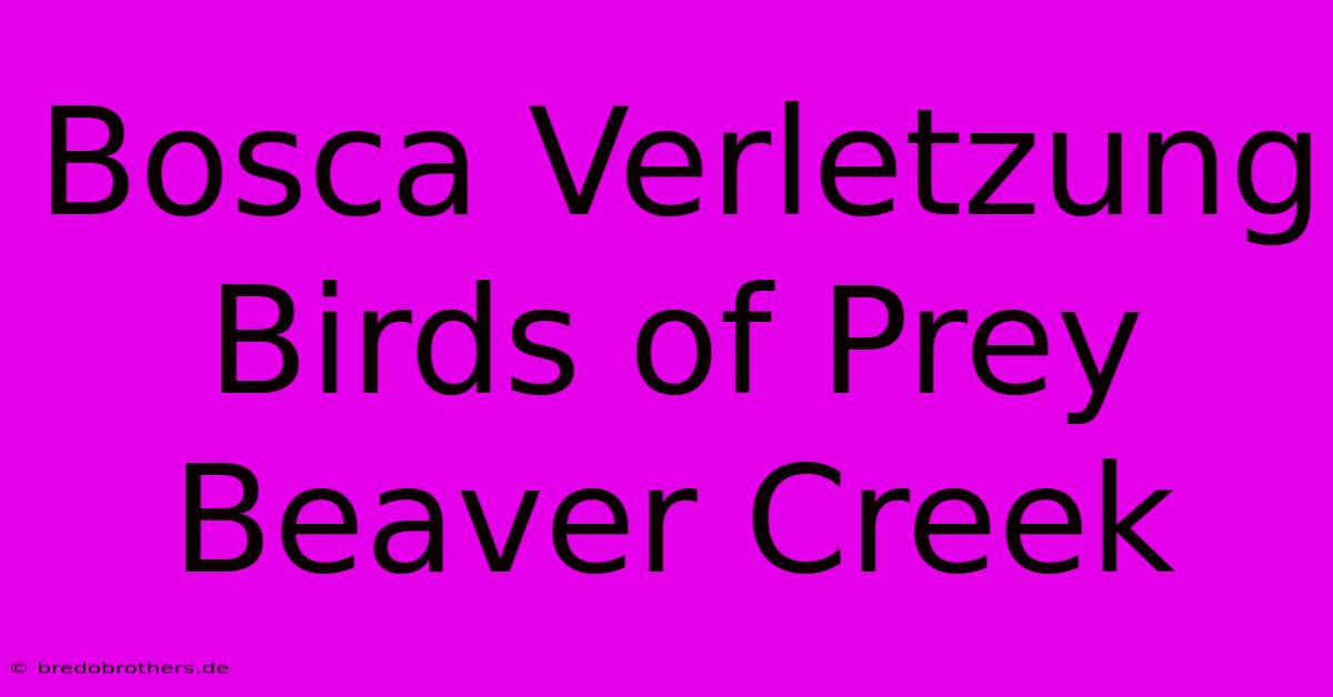 Bosca Verletzung Birds Of Prey Beaver Creek