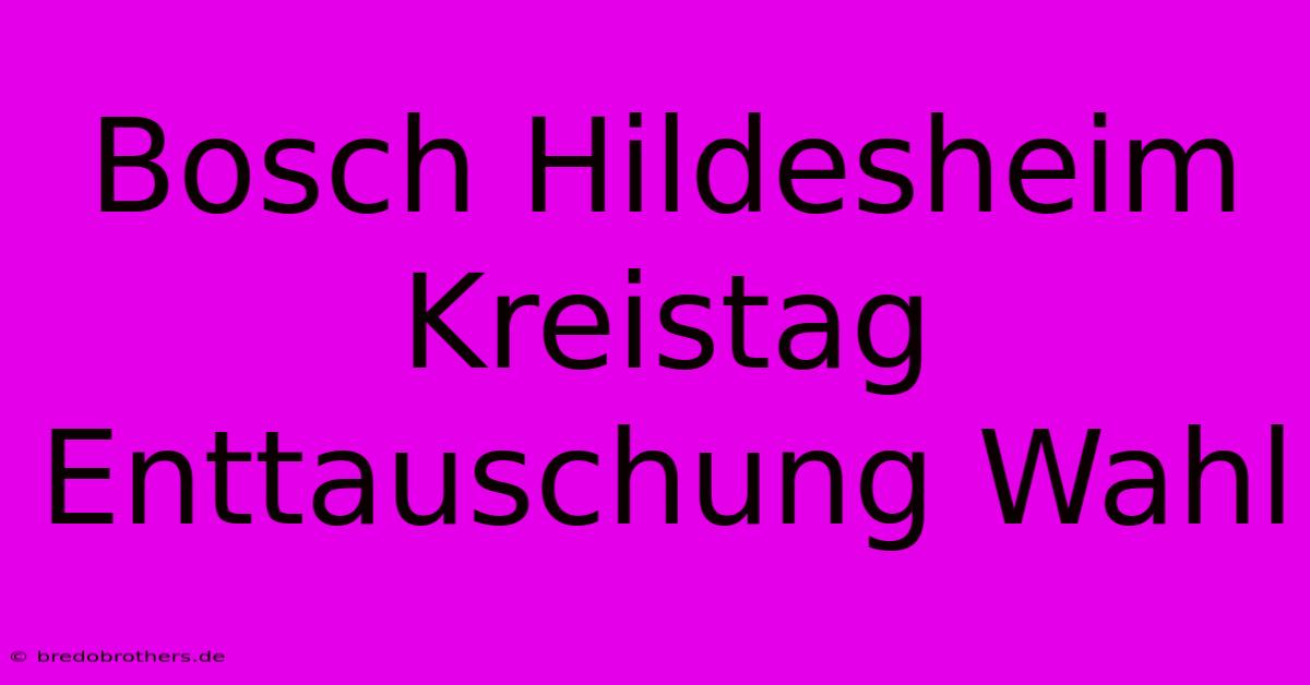 Bosch Hildesheim Kreistag Enttauschung Wahl