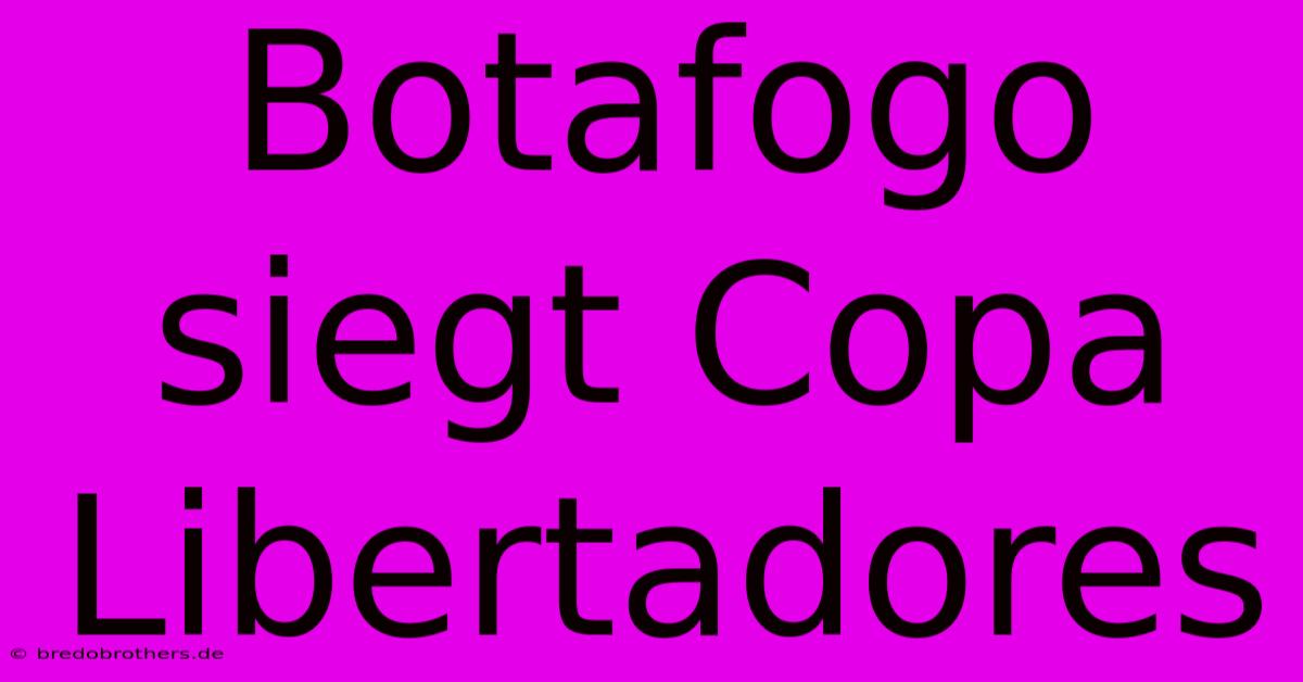 Botafogo Siegt Copa Libertadores