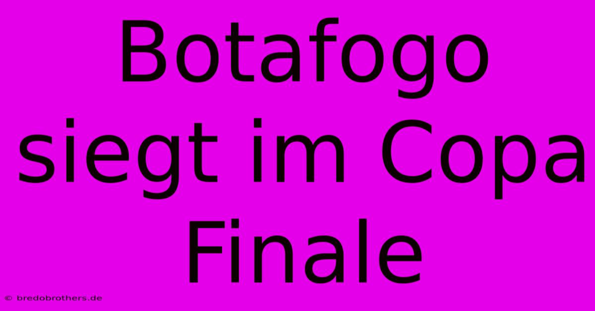 Botafogo Siegt Im Copa Finale