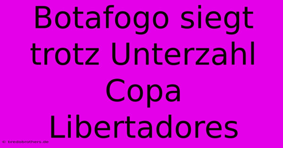 Botafogo Siegt Trotz Unterzahl Copa Libertadores