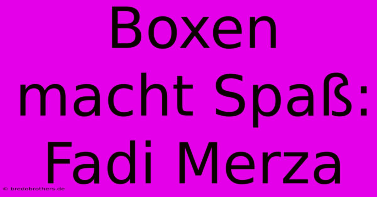 Boxen Macht Spaß: Fadi Merza