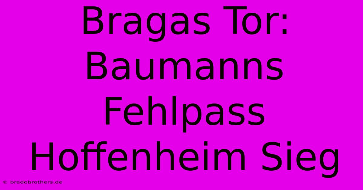 Bragas Tor: Baumanns Fehlpass  Hoffenheim Sieg