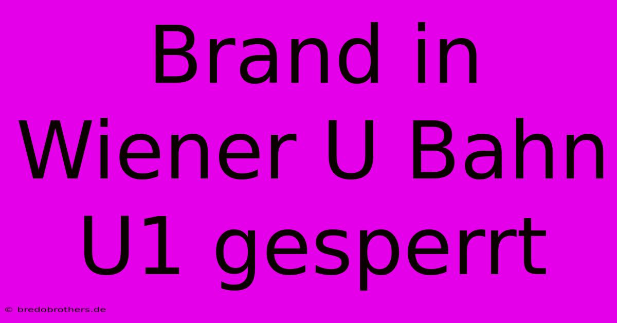 Brand In Wiener U Bahn U1 Gesperrt