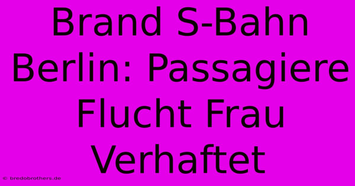 Brand S-Bahn Berlin: Passagiere Flucht Frau Verhaftet