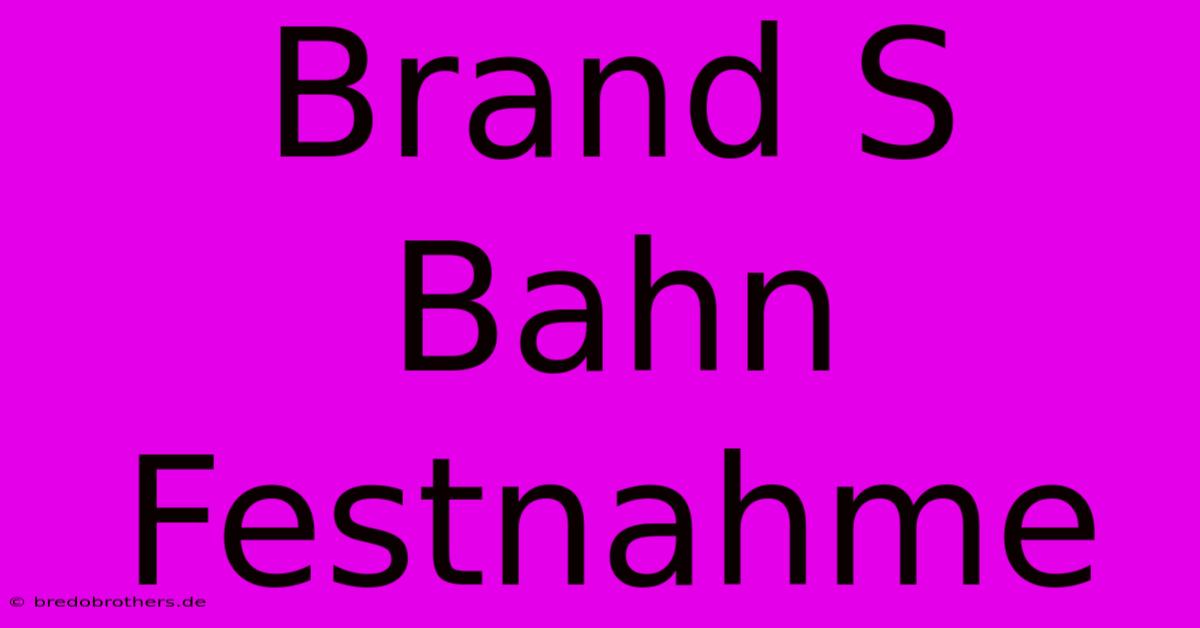 Brand S Bahn Festnahme