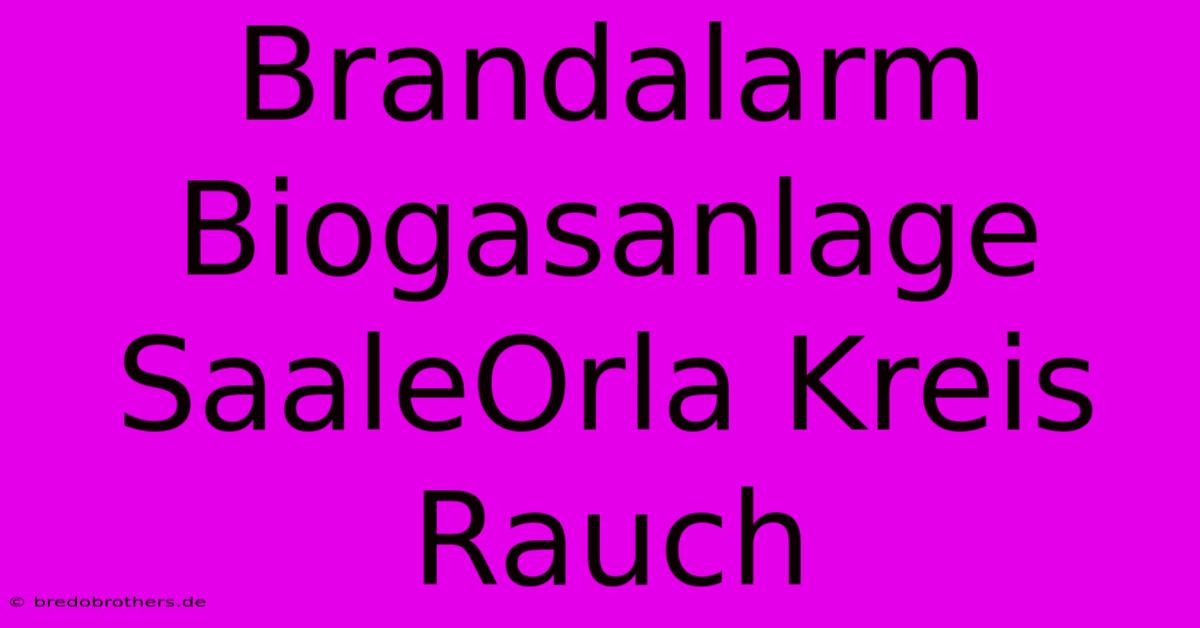 Brandalarm Biogasanlage SaaleOrla Kreis Rauch