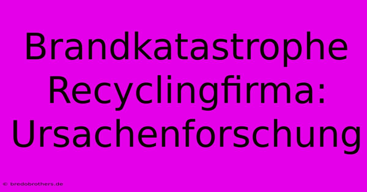 Brandkatastrophe Recyclingfirma: Ursachenforschung