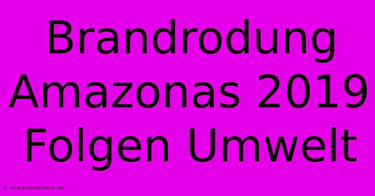 Brandrodung Amazonas 2019  Folgen Umwelt