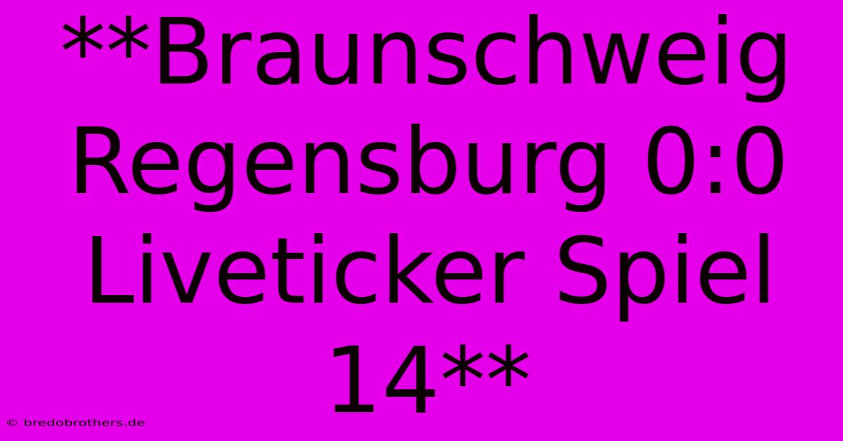 **Braunschweig Regensburg 0:0 Liveticker Spiel 14**