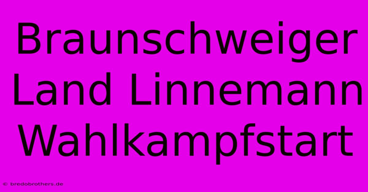 Braunschweiger Land Linnemann Wahlkampfstart