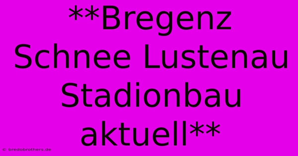 **Bregenz Schnee Lustenau Stadionbau Aktuell**