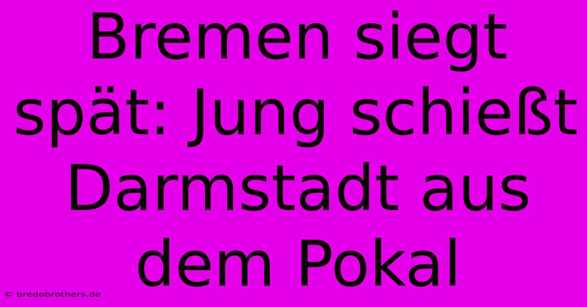 Bremen Siegt Spät: Jung Schießt Darmstadt Aus Dem Pokal