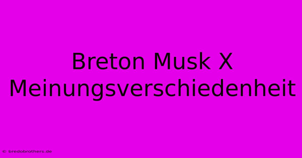 Breton Musk X  Meinungsverschiedenheit