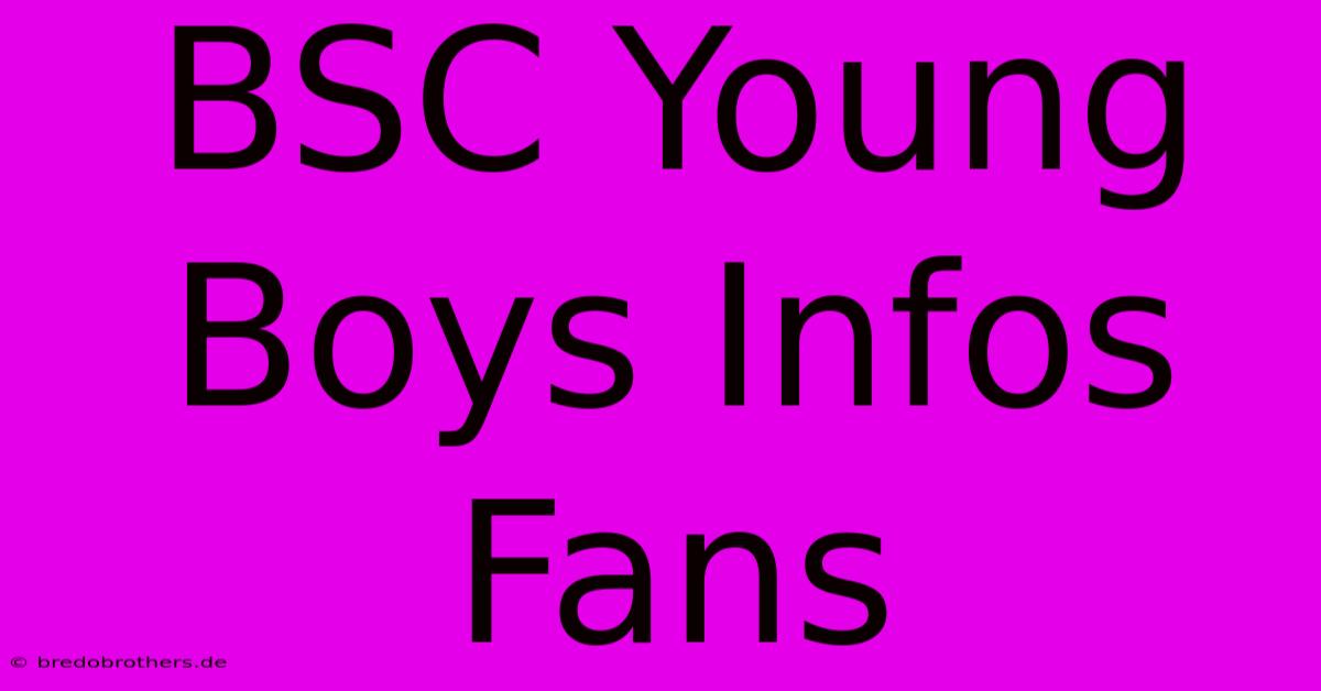 BSC Young Boys Infos Fans