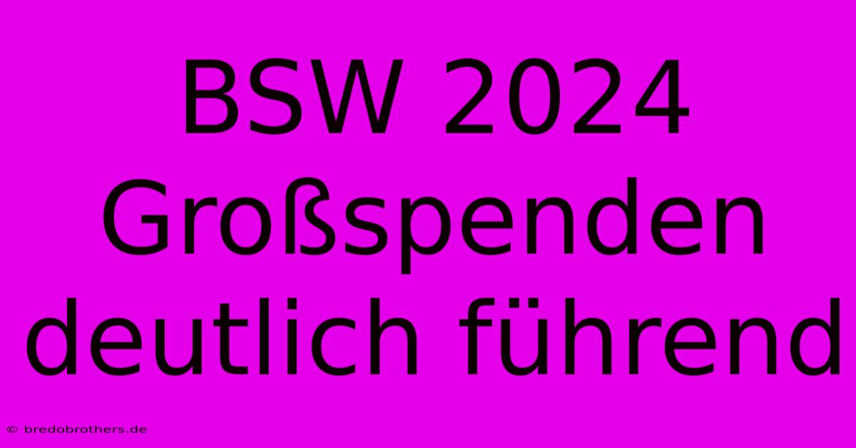 BSW 2024 Großspenden Deutlich Führend