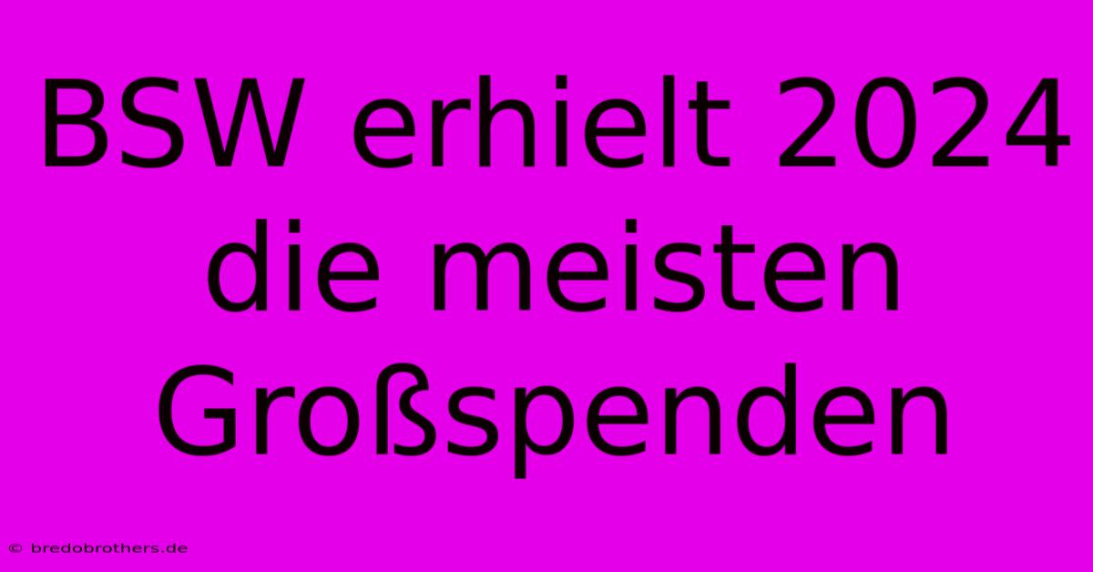 BSW Erhielt 2024 Die Meisten Großspenden