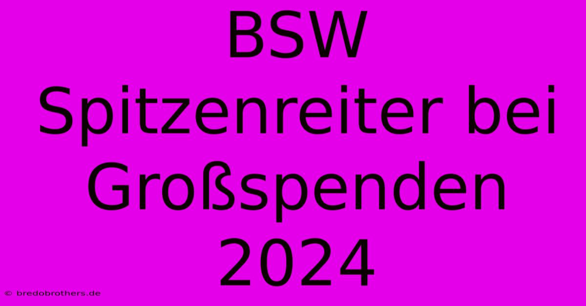 BSW Spitzenreiter Bei Großspenden 2024