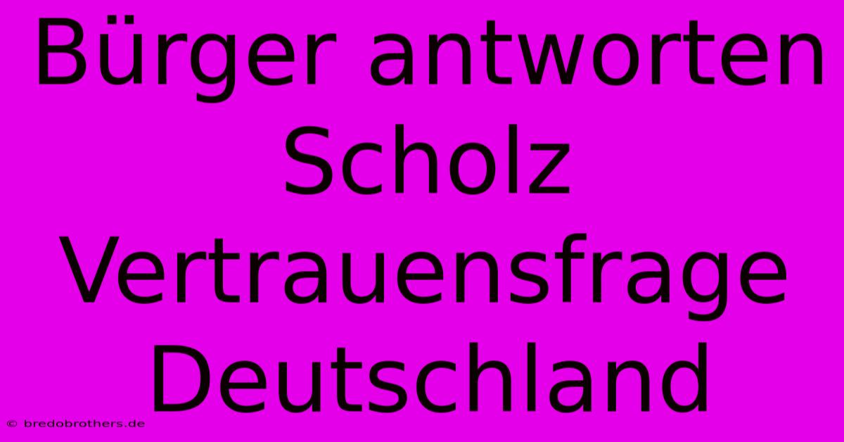 Bürger Antworten Scholz Vertrauensfrage Deutschland