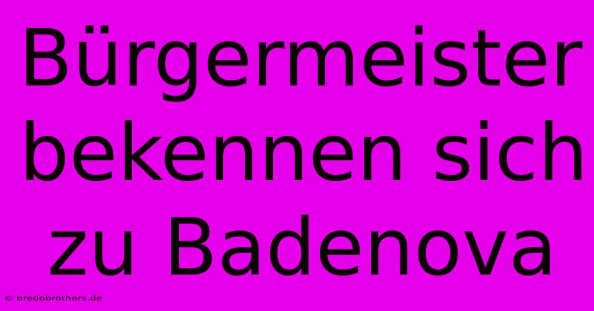 Bürgermeister Bekennen Sich Zu Badenova