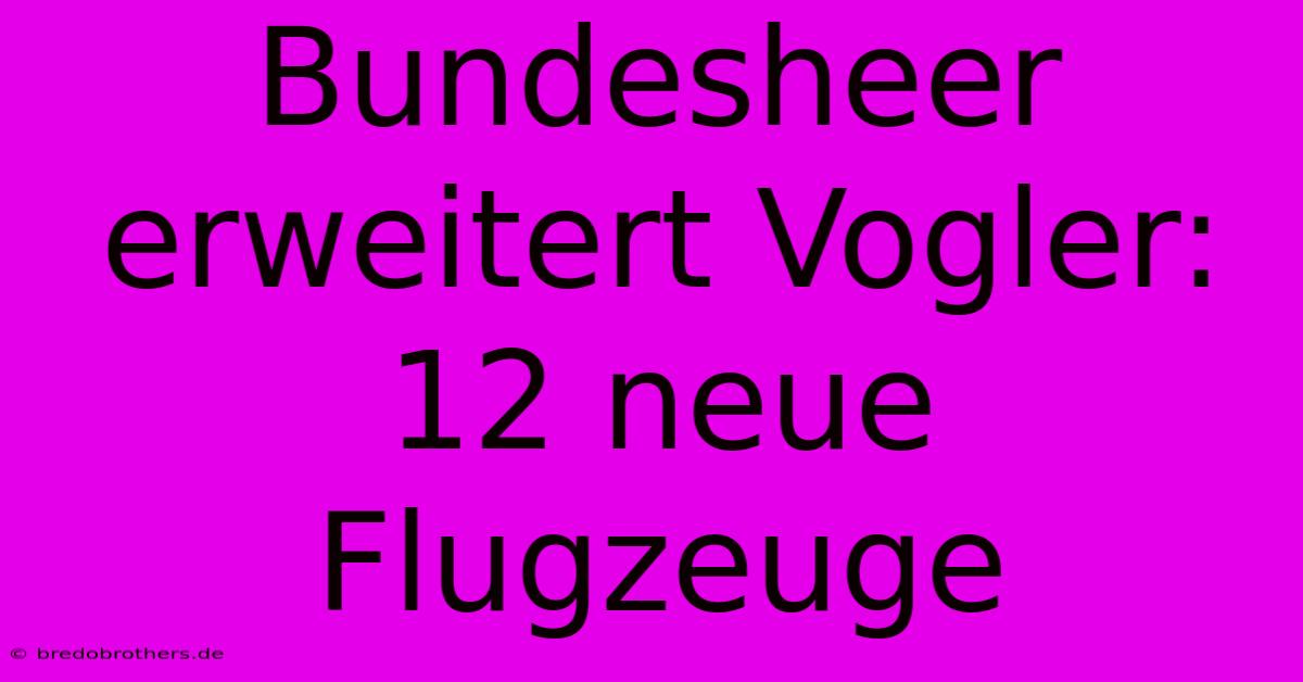 Bundesheer Erweitert Vogler: 12 Neue Flugzeuge