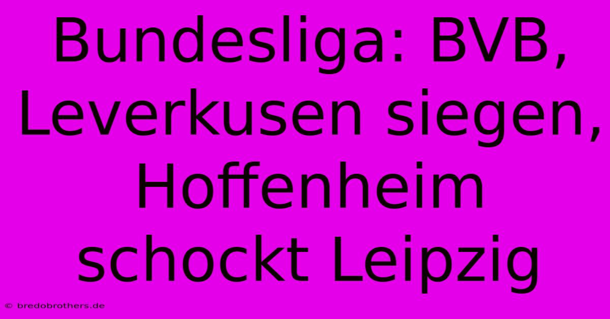 Bundesliga: BVB, Leverkusen Siegen, Hoffenheim Schockt Leipzig