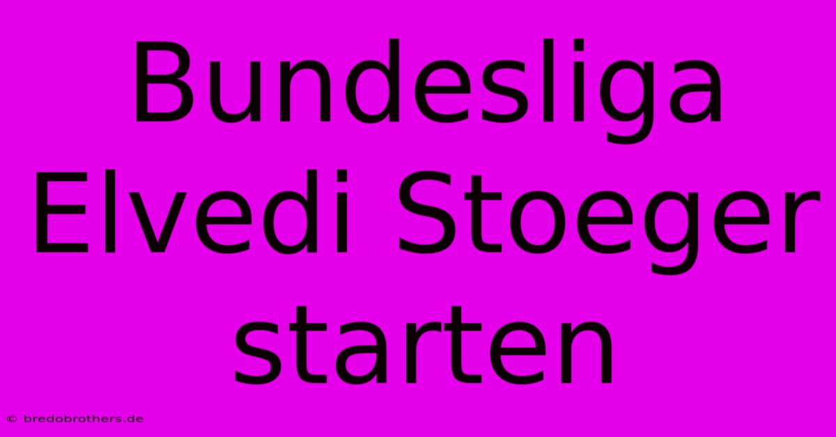 Bundesliga Elvedi Stoeger Starten