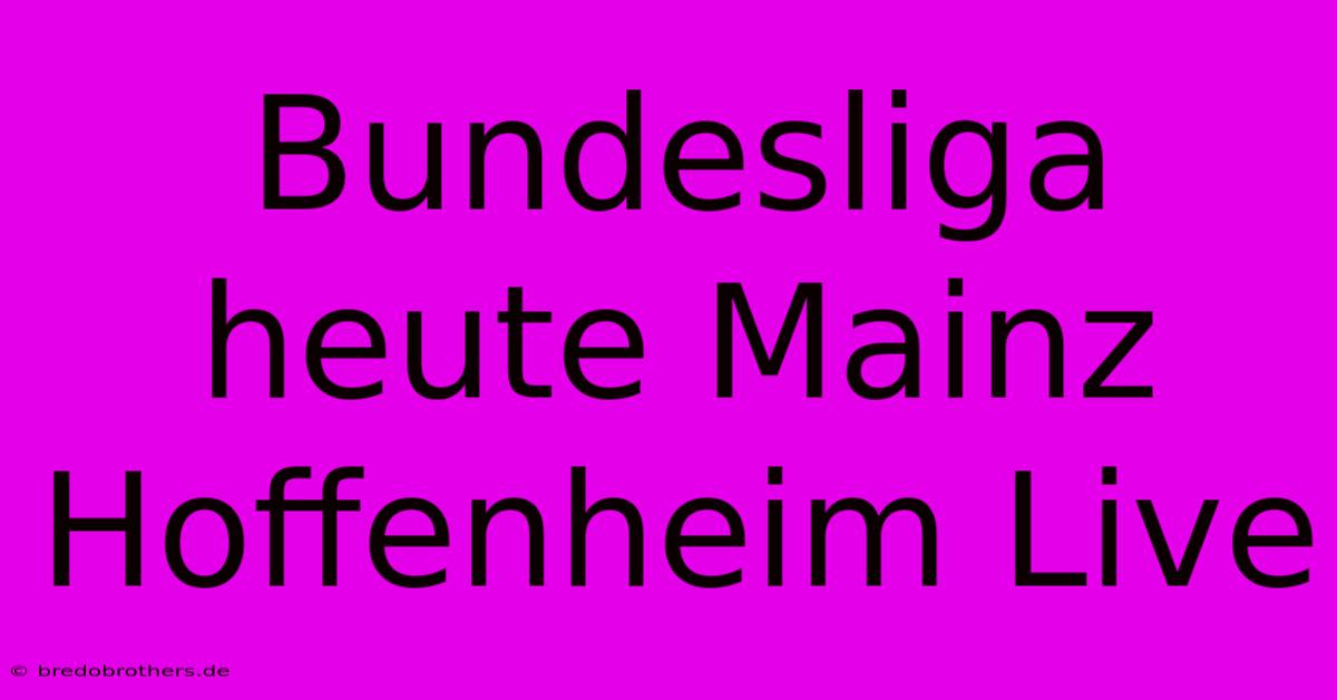 Bundesliga Heute Mainz Hoffenheim Live