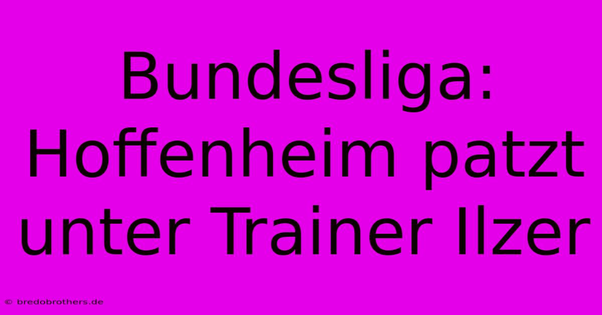 Bundesliga: Hoffenheim Patzt Unter Trainer Ilzer