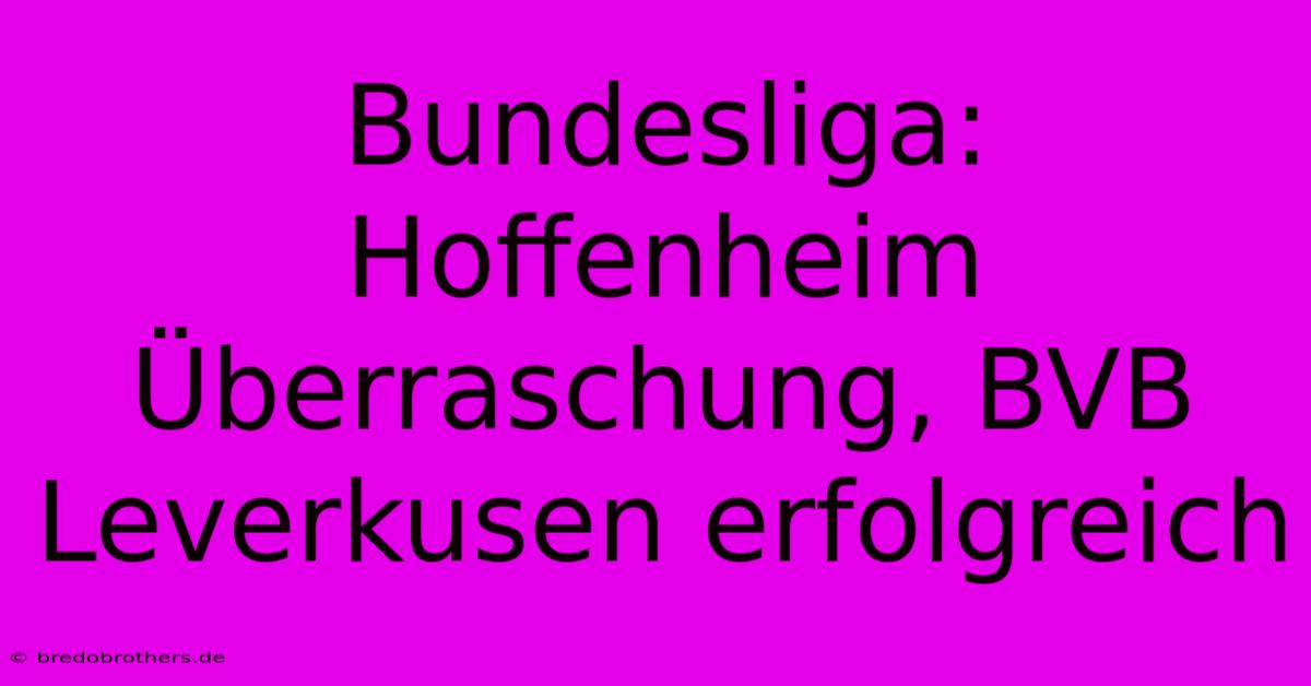 Bundesliga: Hoffenheim Überraschung, BVB Leverkusen Erfolgreich