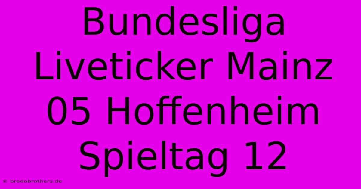 Bundesliga Liveticker Mainz 05 Hoffenheim Spieltag 12