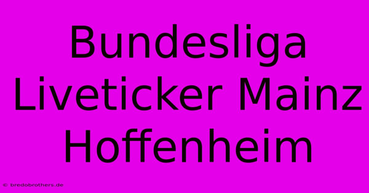 Bundesliga Liveticker Mainz Hoffenheim