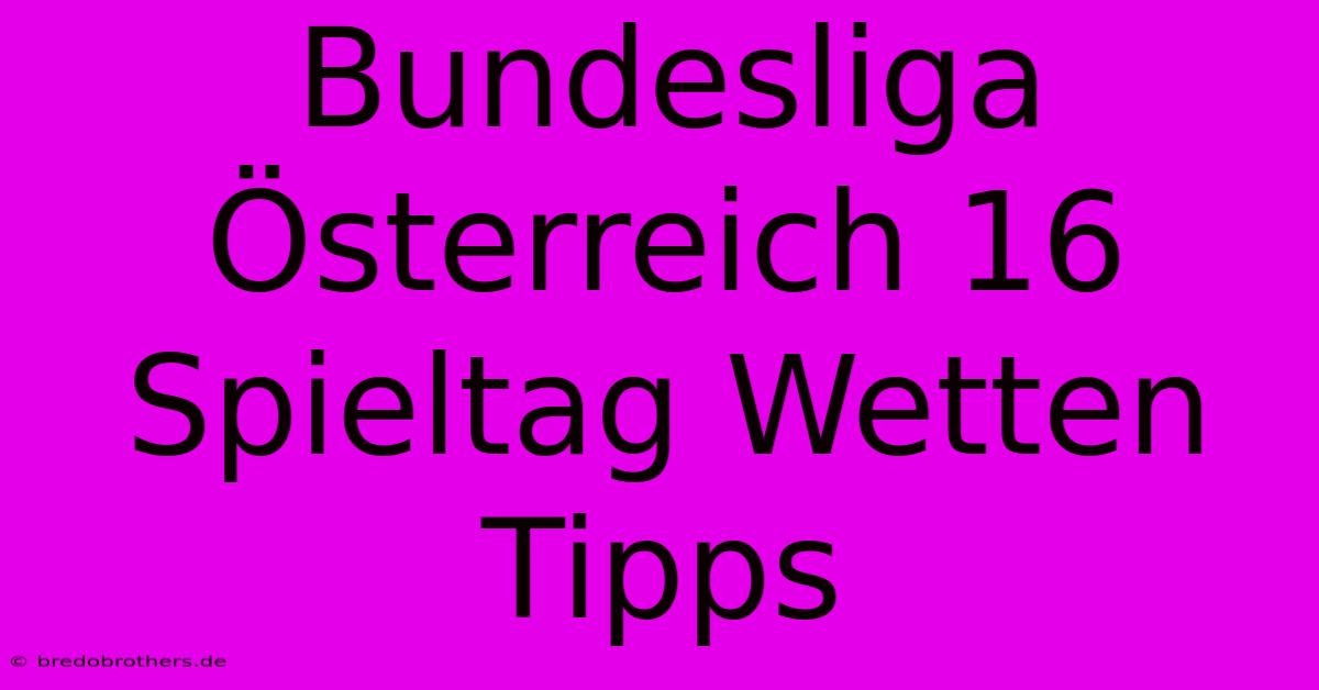 Bundesliga Österreich 16 Spieltag Wetten Tipps