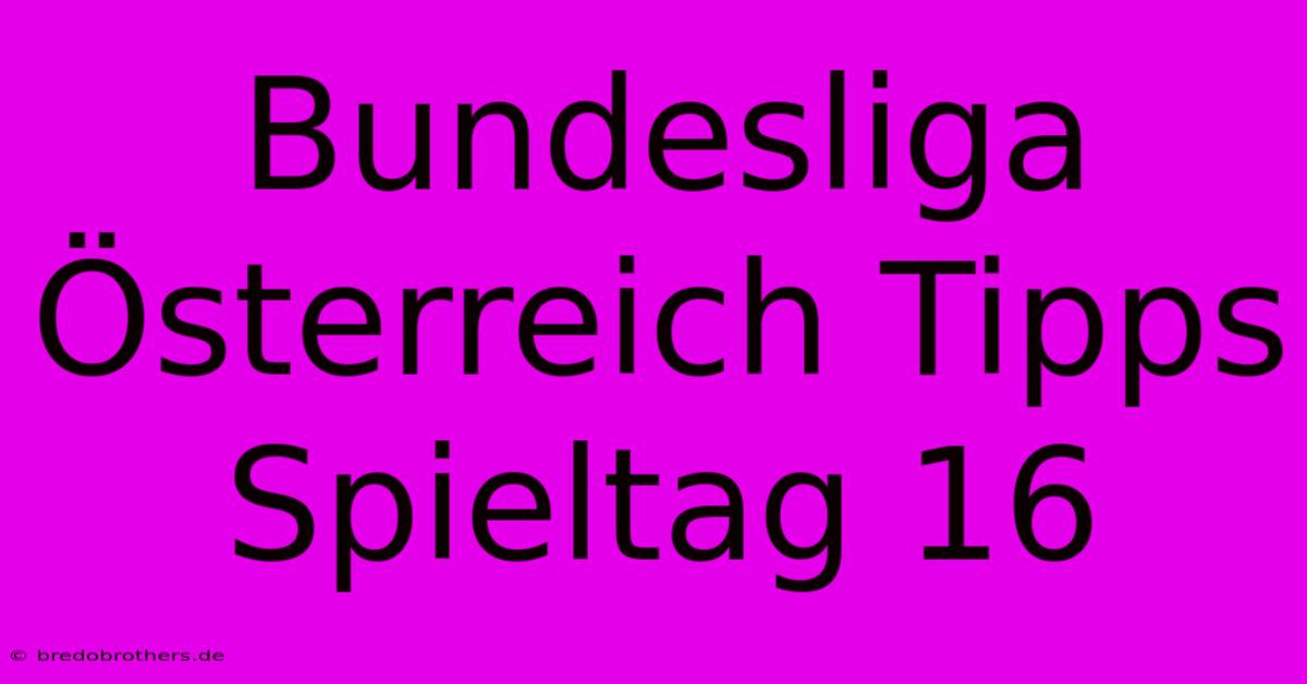 Bundesliga Österreich Tipps Spieltag 16