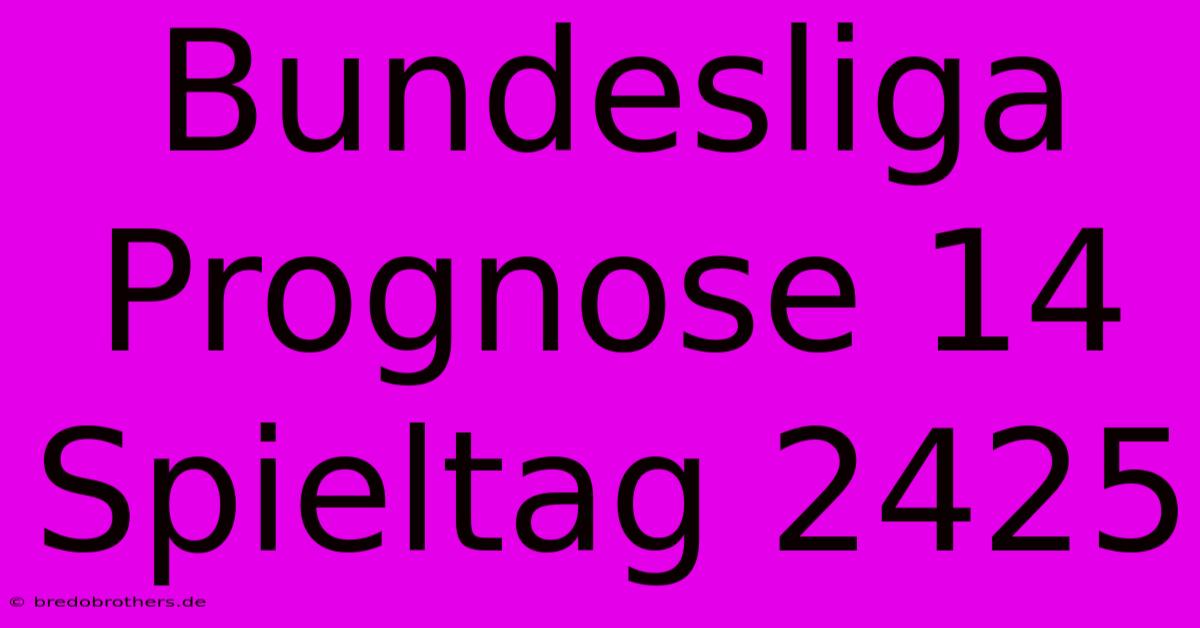 Bundesliga Prognose 14 Spieltag 2425