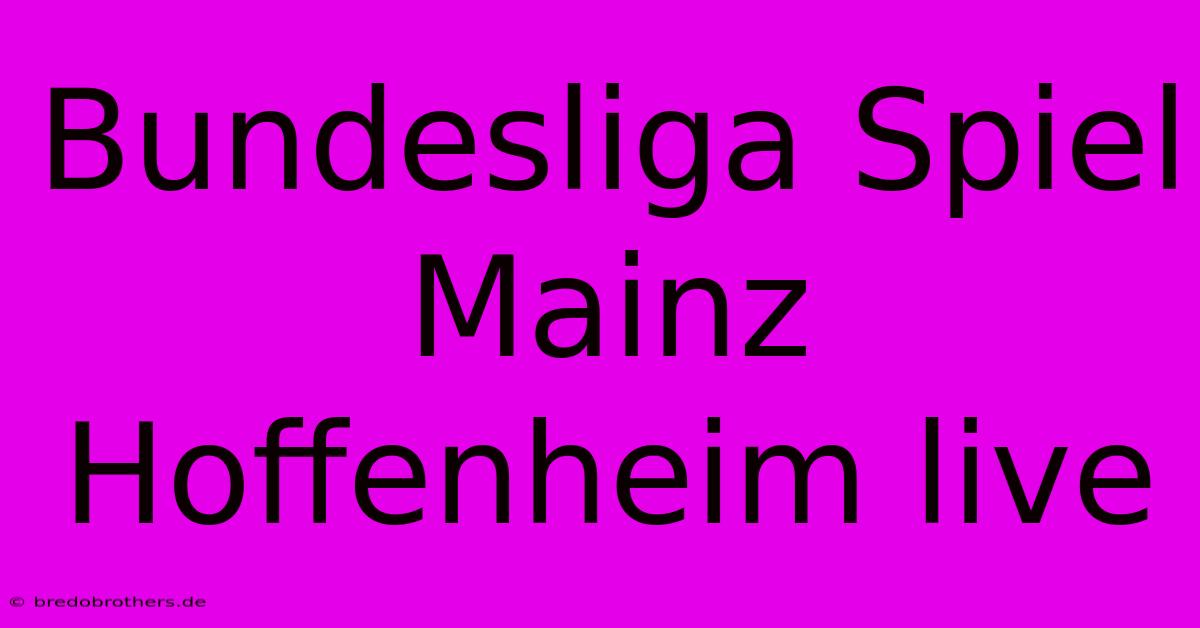 Bundesliga Spiel Mainz Hoffenheim Live