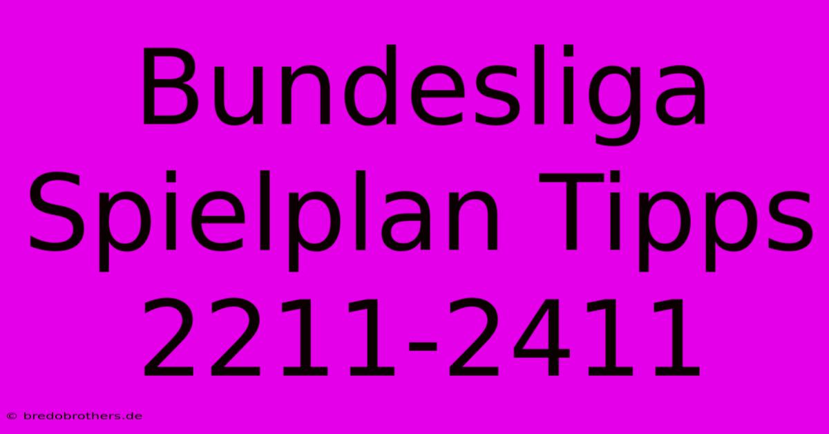 Bundesliga Spielplan Tipps 2211-2411