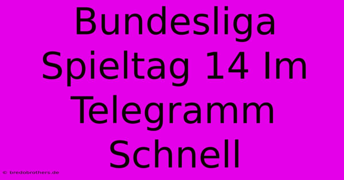 Bundesliga Spieltag 14 Im Telegramm Schnell