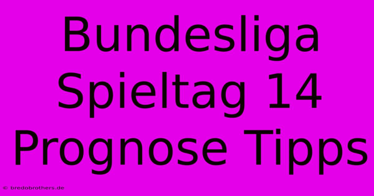 Bundesliga Spieltag 14 Prognose Tipps