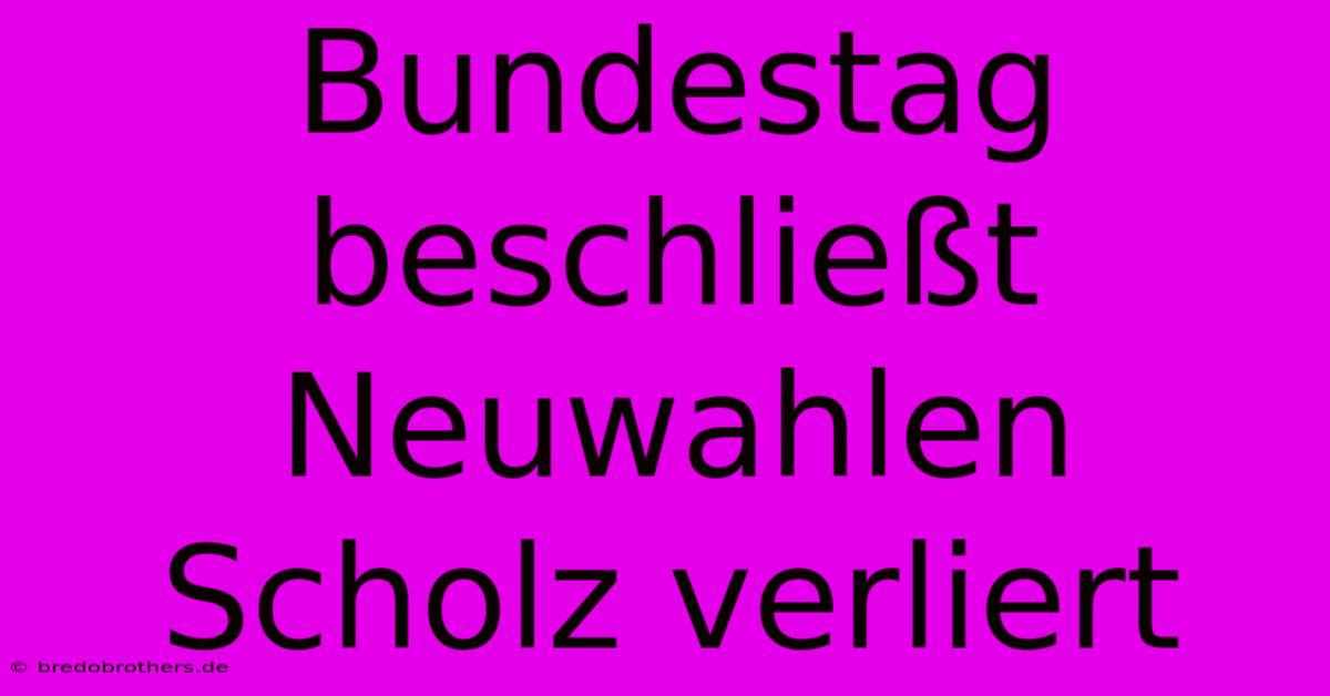 Bundestag Beschließt Neuwahlen Scholz Verliert